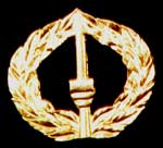 Commander Cain Chest Badge
