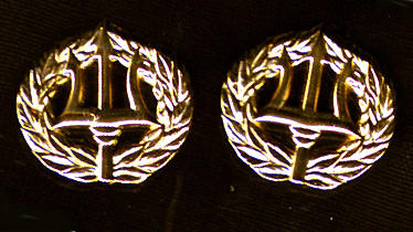 Pegasus Collar Pins